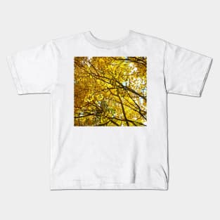 Colorado Aspen Trees in Fall Kids T-Shirt